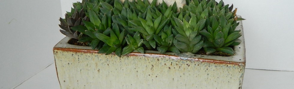 DSCN3614